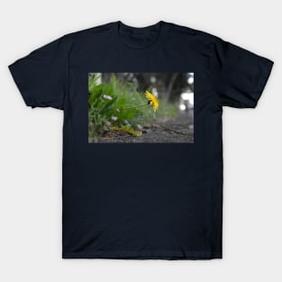 The yelllow flower T-Shirt